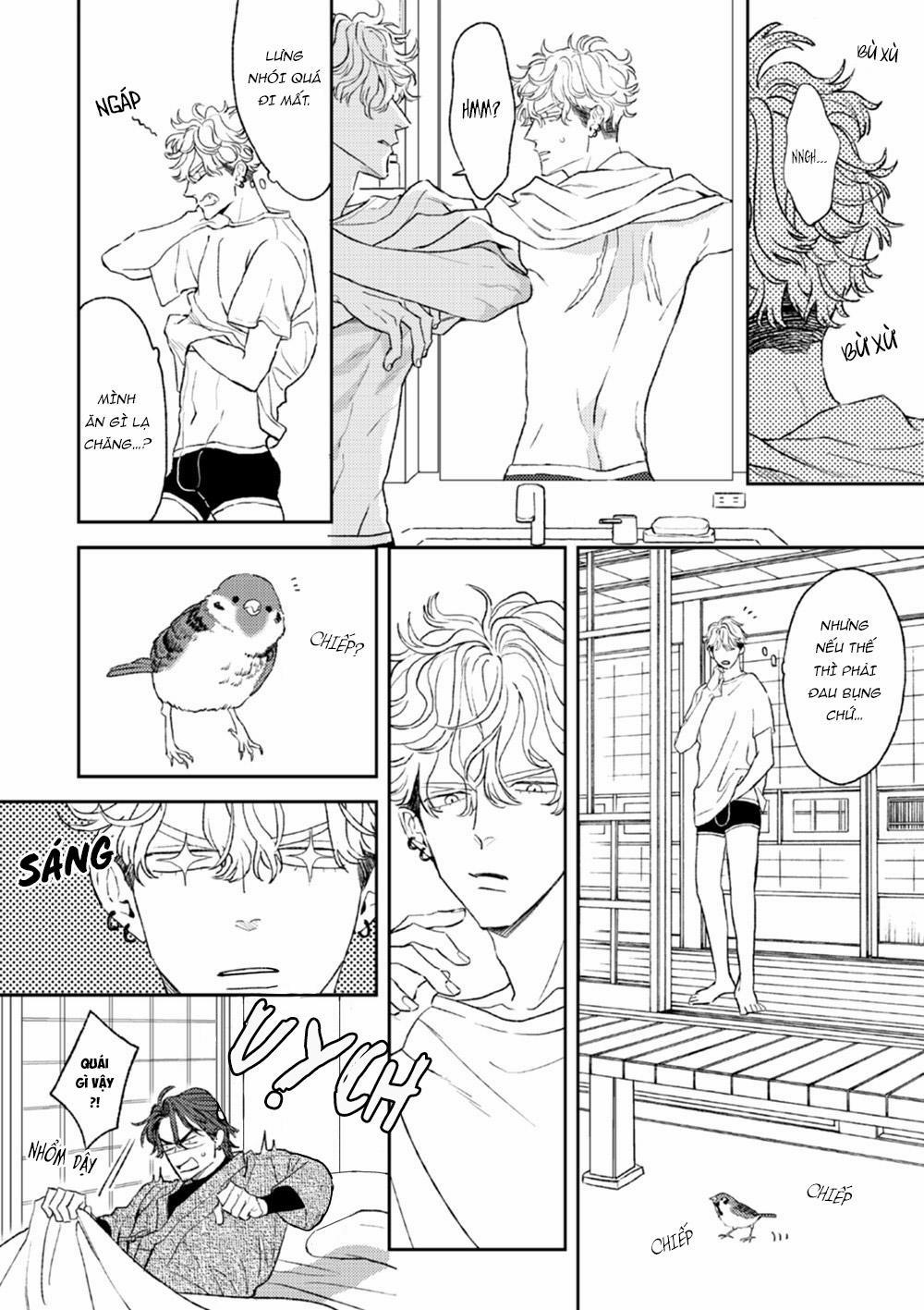 Con Ngươi Tựa Hổ Phách 3 trang 11