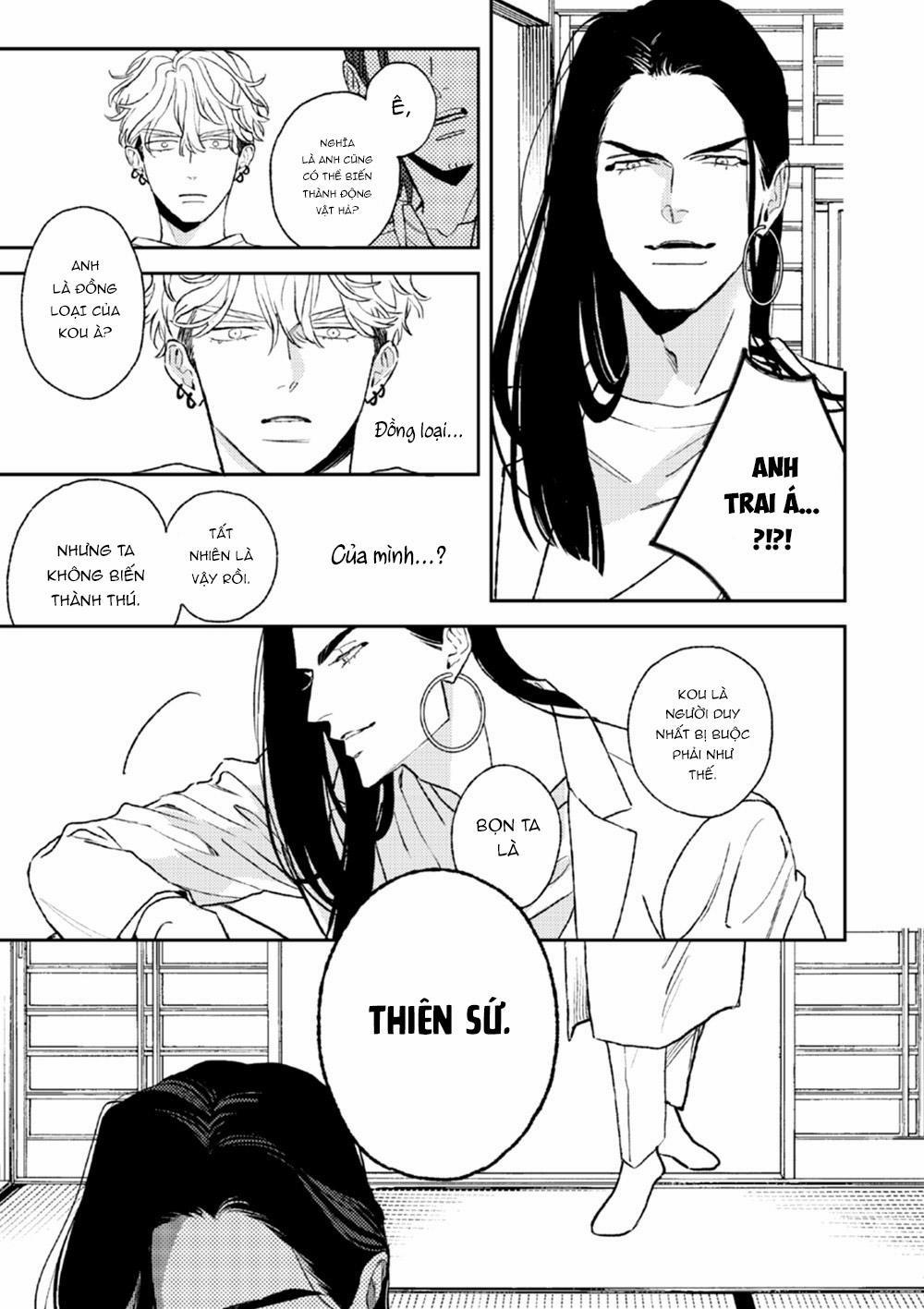 Con Ngươi Tựa Hổ Phách 3 trang 16