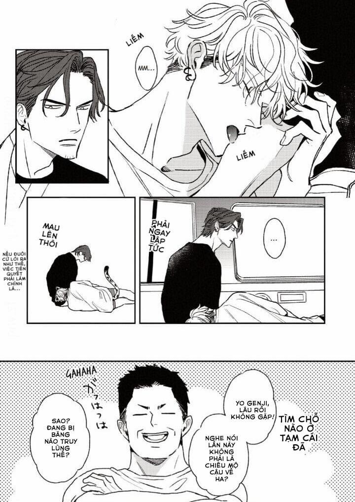 Con Ngươi Tựa Hổ Phách 4 trang 4