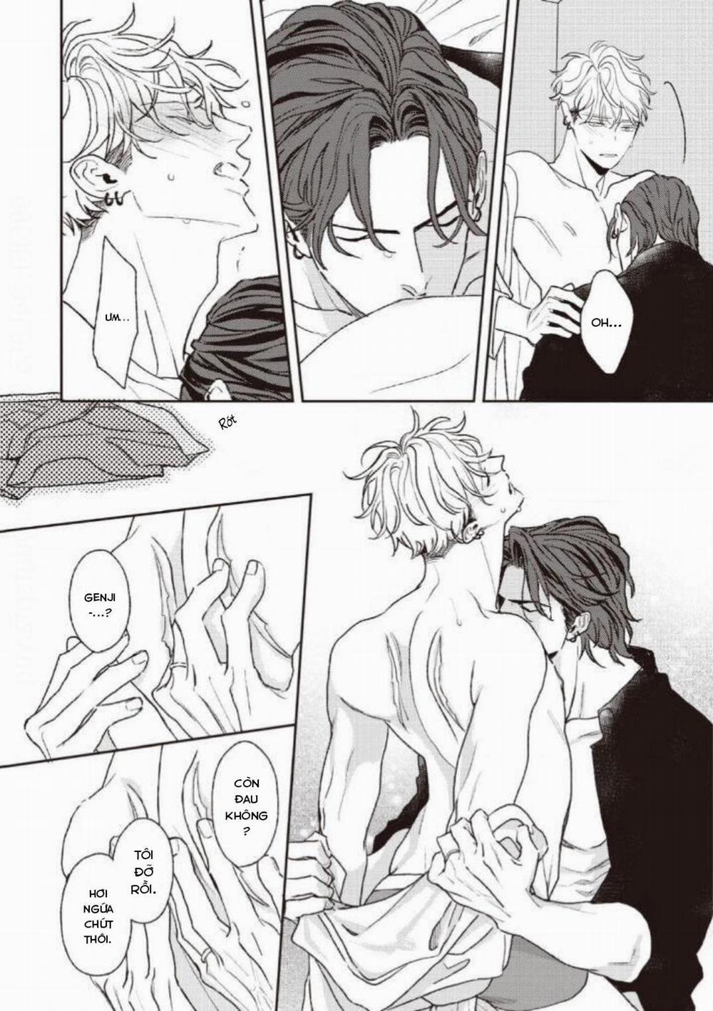 Con Ngươi Tựa Hổ Phách 5 trang 13