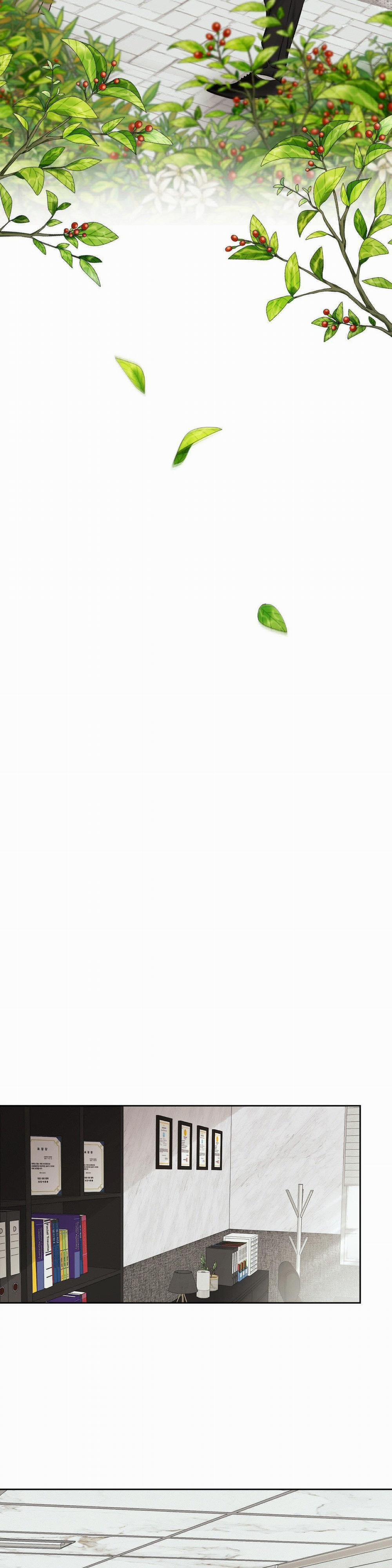 Con Nuôi Bất Đắc Dĩ 32 trang 17