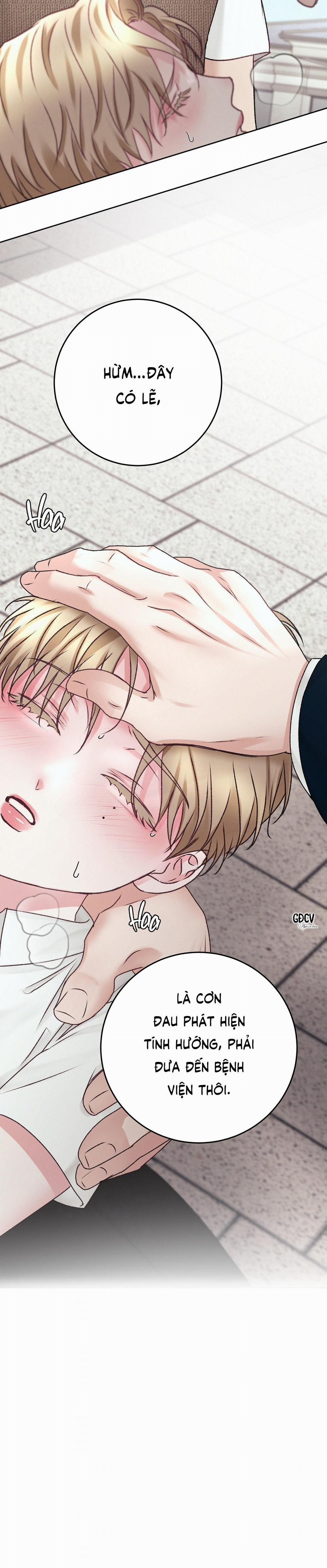 Con Nuôi Bất Đắc Dĩ 36 trang 2