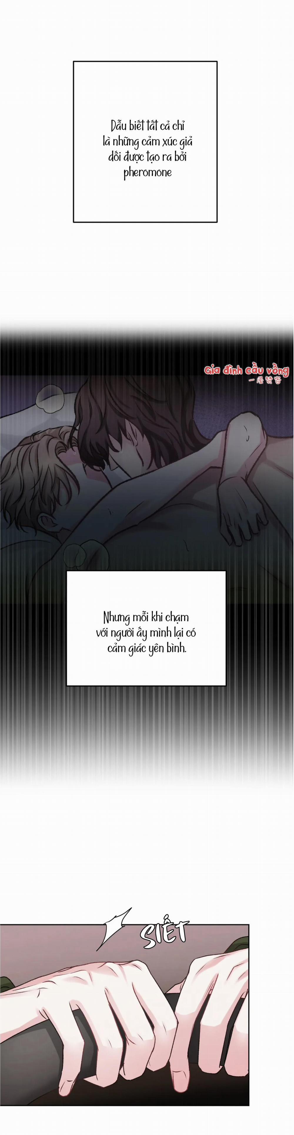 Con Nuôi Bất Đắc Dĩ 9 trang 16