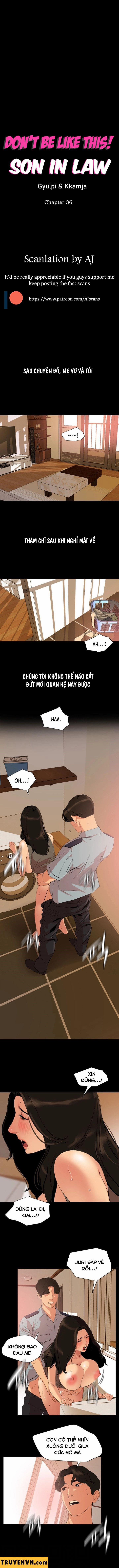 Con Rể 36 trang 0