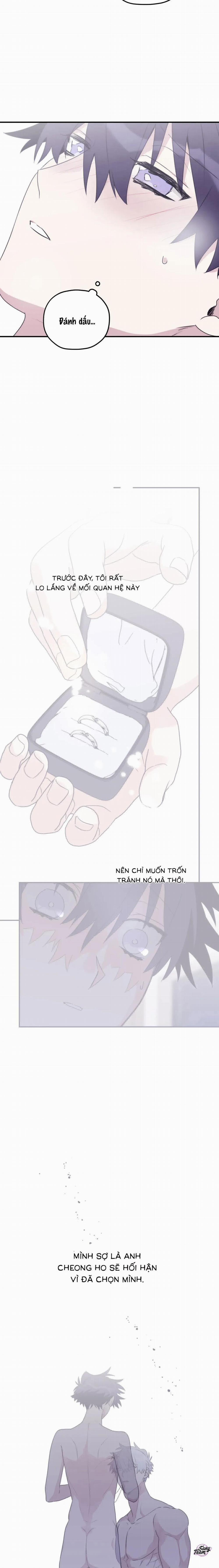 Con Sóng Dõi Theo Em 54 0 Ngoại Truyện 4 trang 15