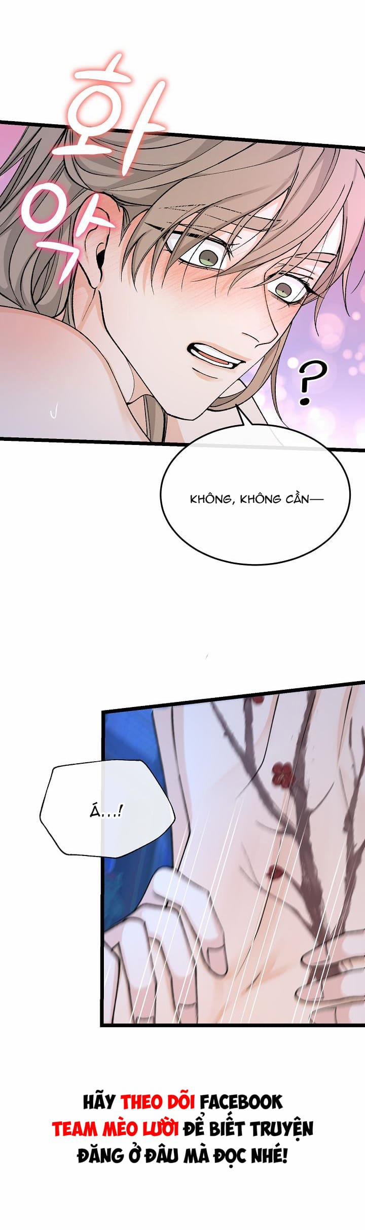 Cơn Sốt Tình 40 trang 1