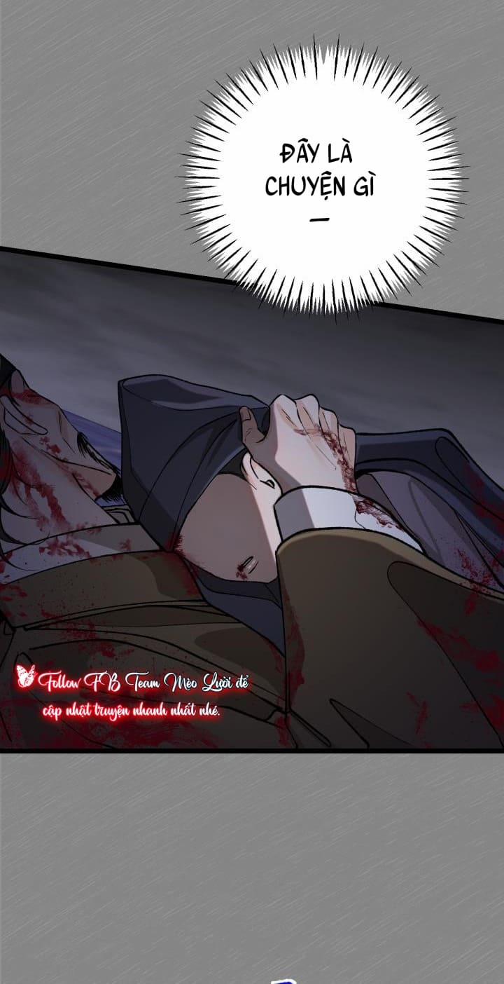 Cơn Sốt Tình 56 trang 66