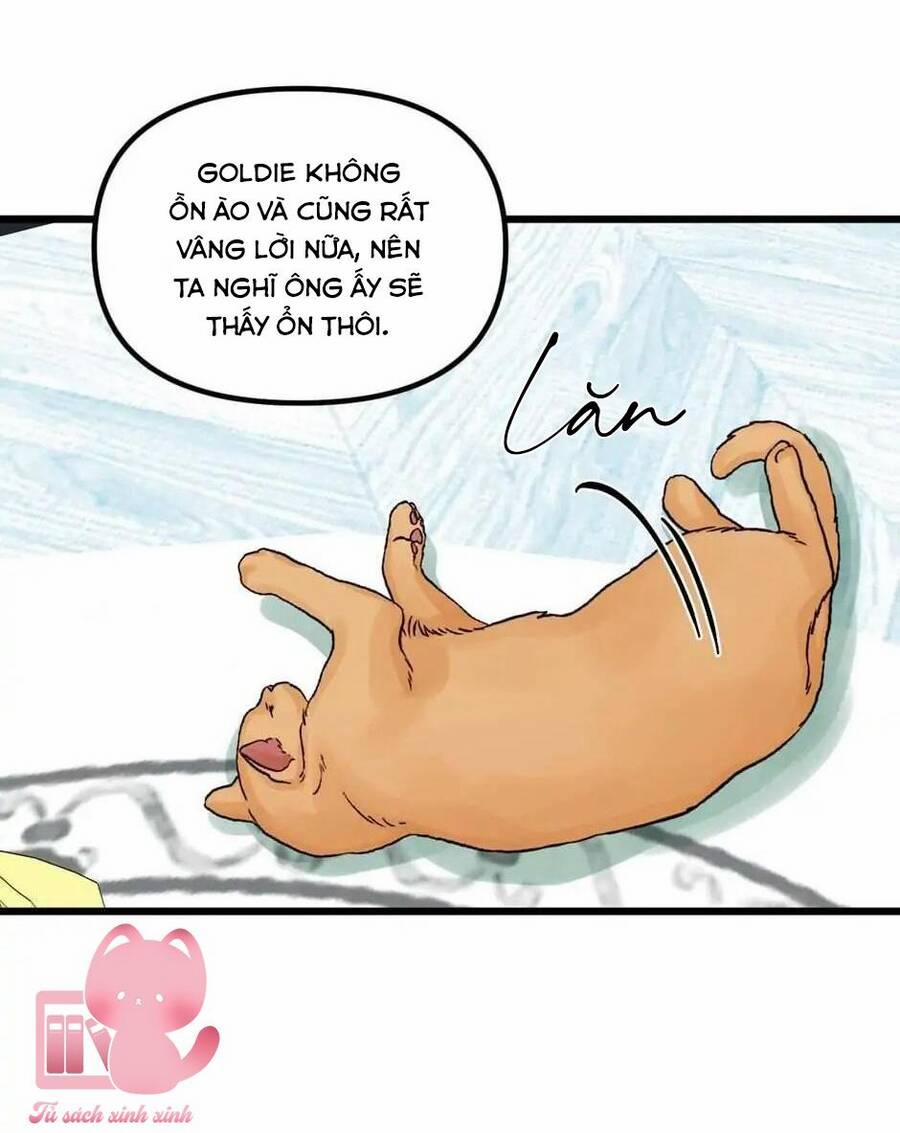 Công Chúa Bãi Rác 64 trang 51