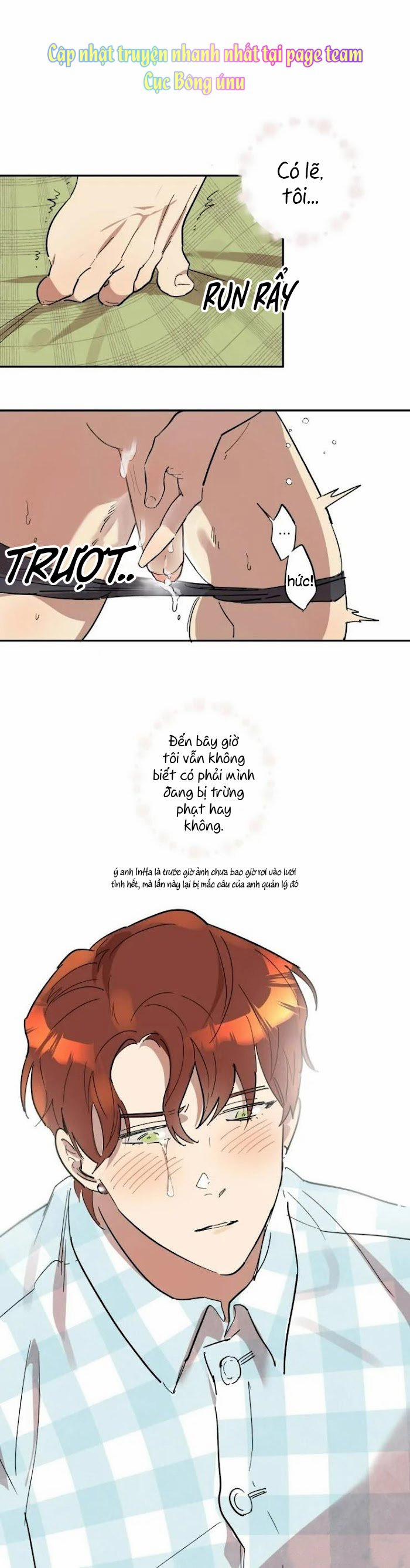 Công Dụng Của Cà Vạt 11 trang 12