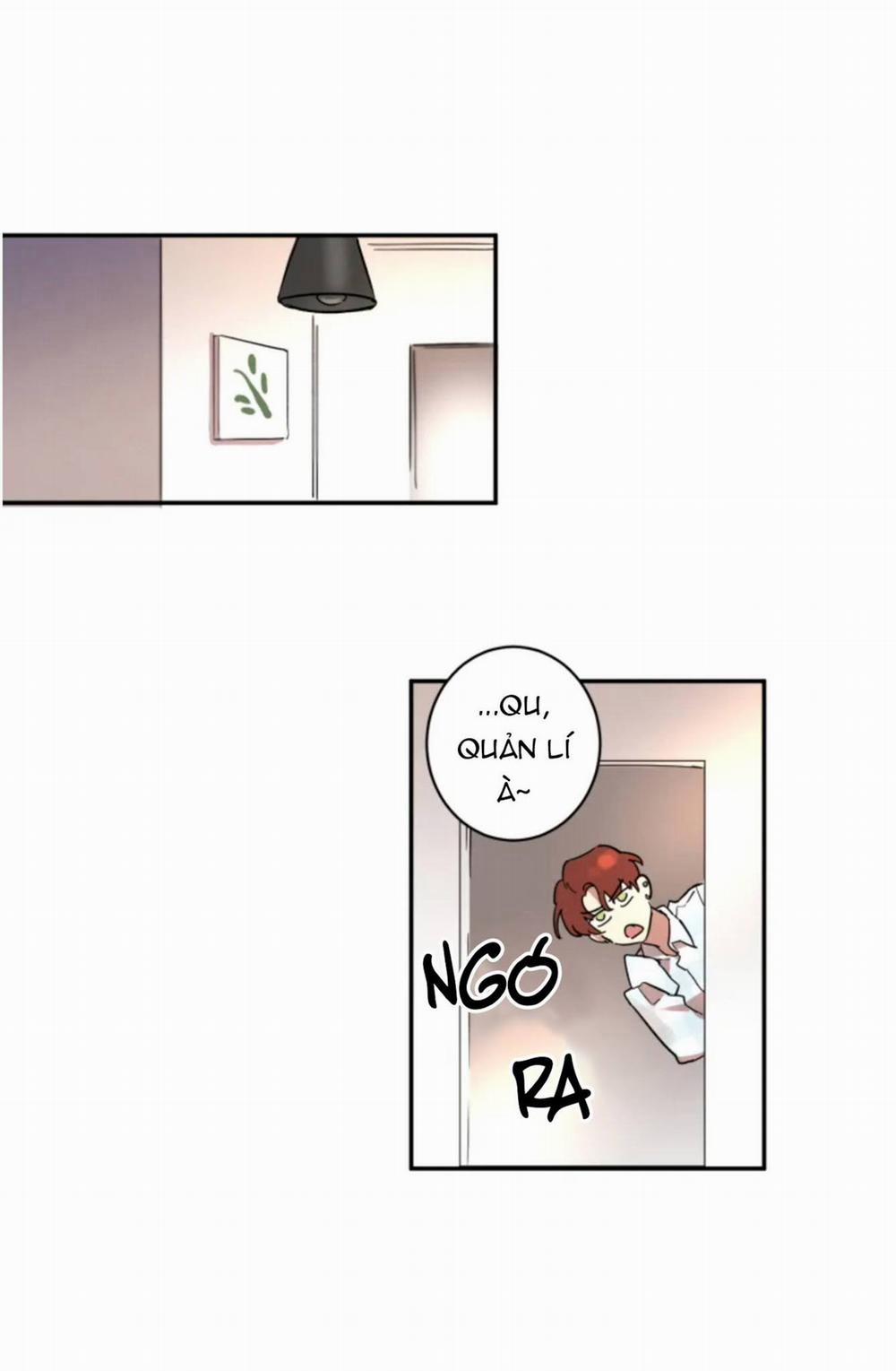 Công Dụng Của Cà Vạt 12 trang 7