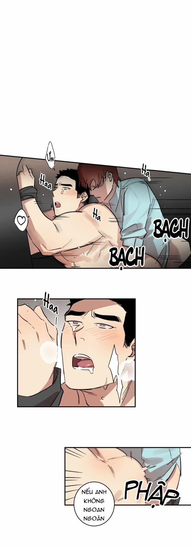 Công Dụng Của Cà Vạt 16 trang 15