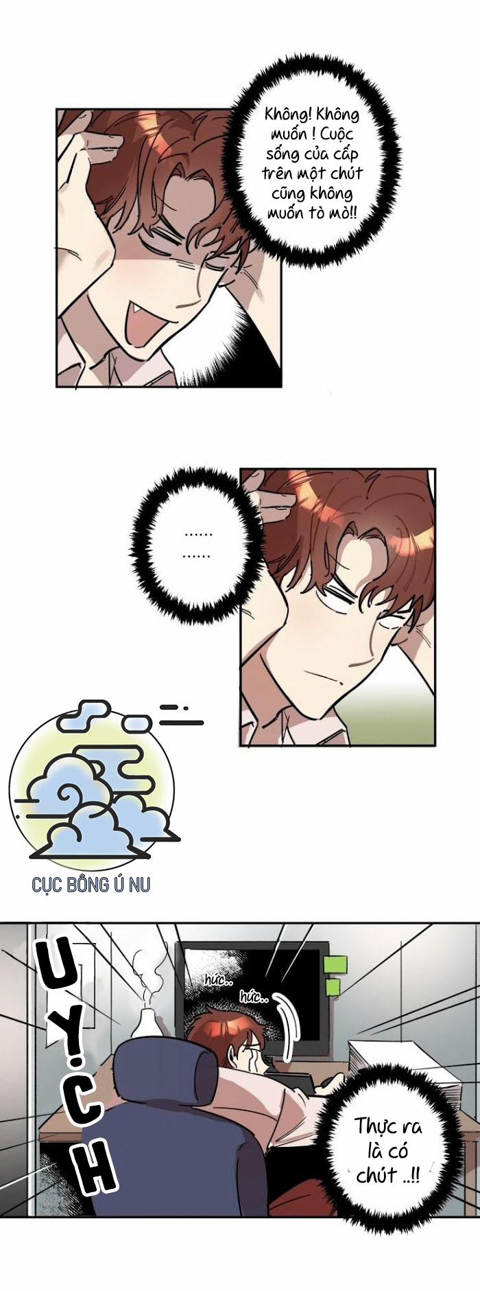 Công Dụng Của Cà Vạt 2 trang 3