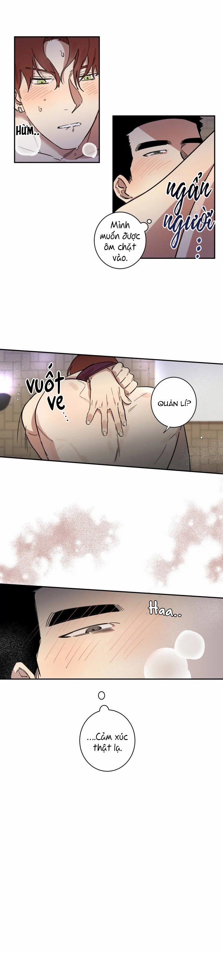 Công Dụng Của Cà Vạt 21 trang 11