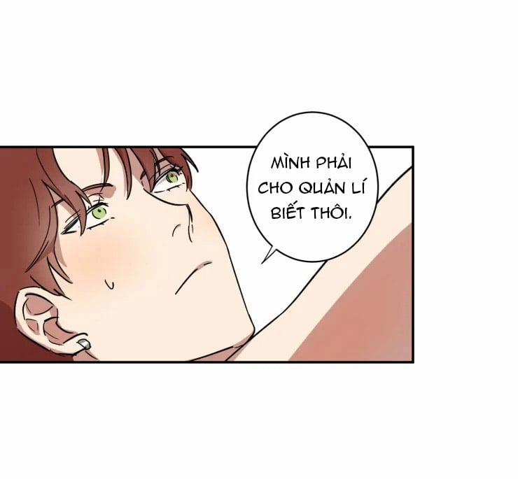 Công Dụng Của Cà Vạt 23 trang 10