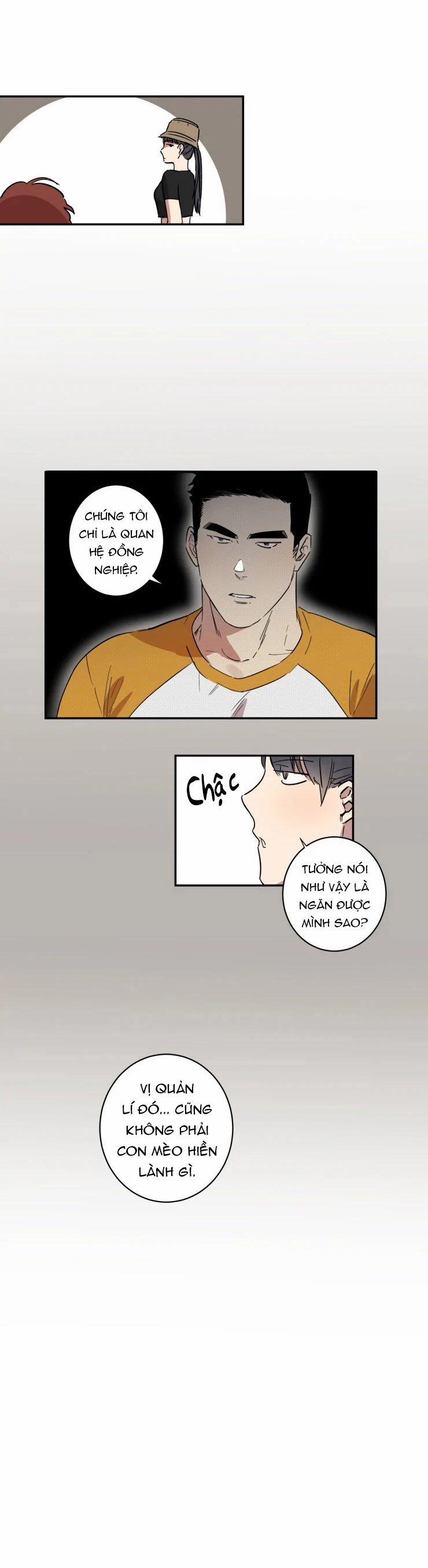 Công Dụng Của Cà Vạt 23 trang 8