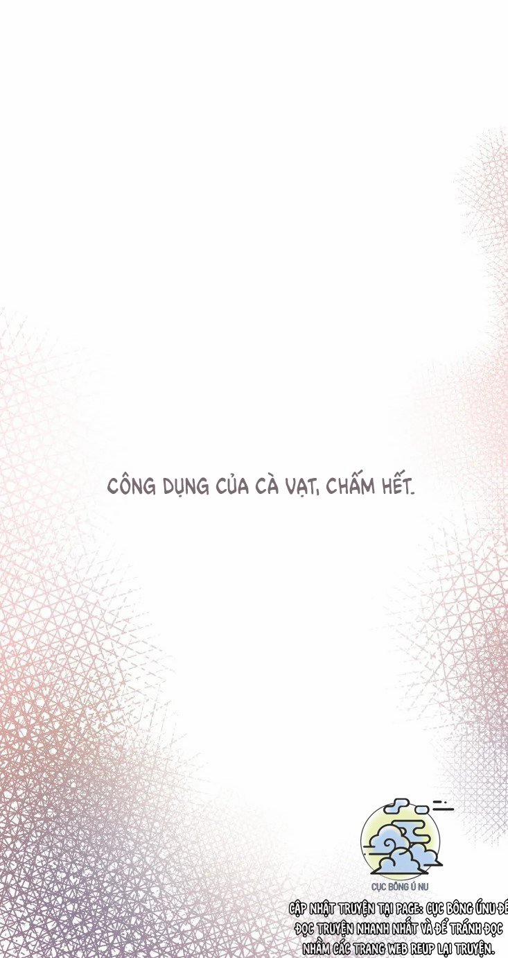 Công Dụng Của Cà Vạt 30 trang 13