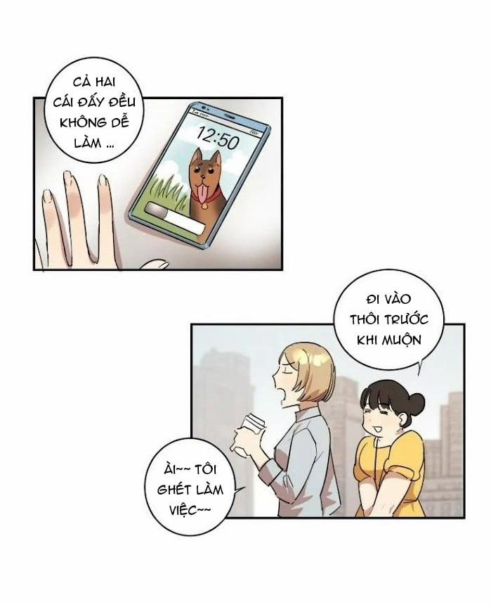 Công Dụng Của Cà Vạt 8 trang 15