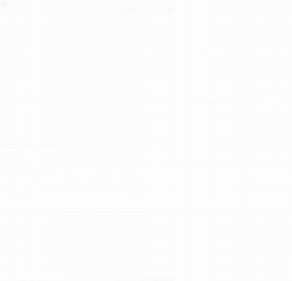 Công Lập Left Fluke 2 trang 13