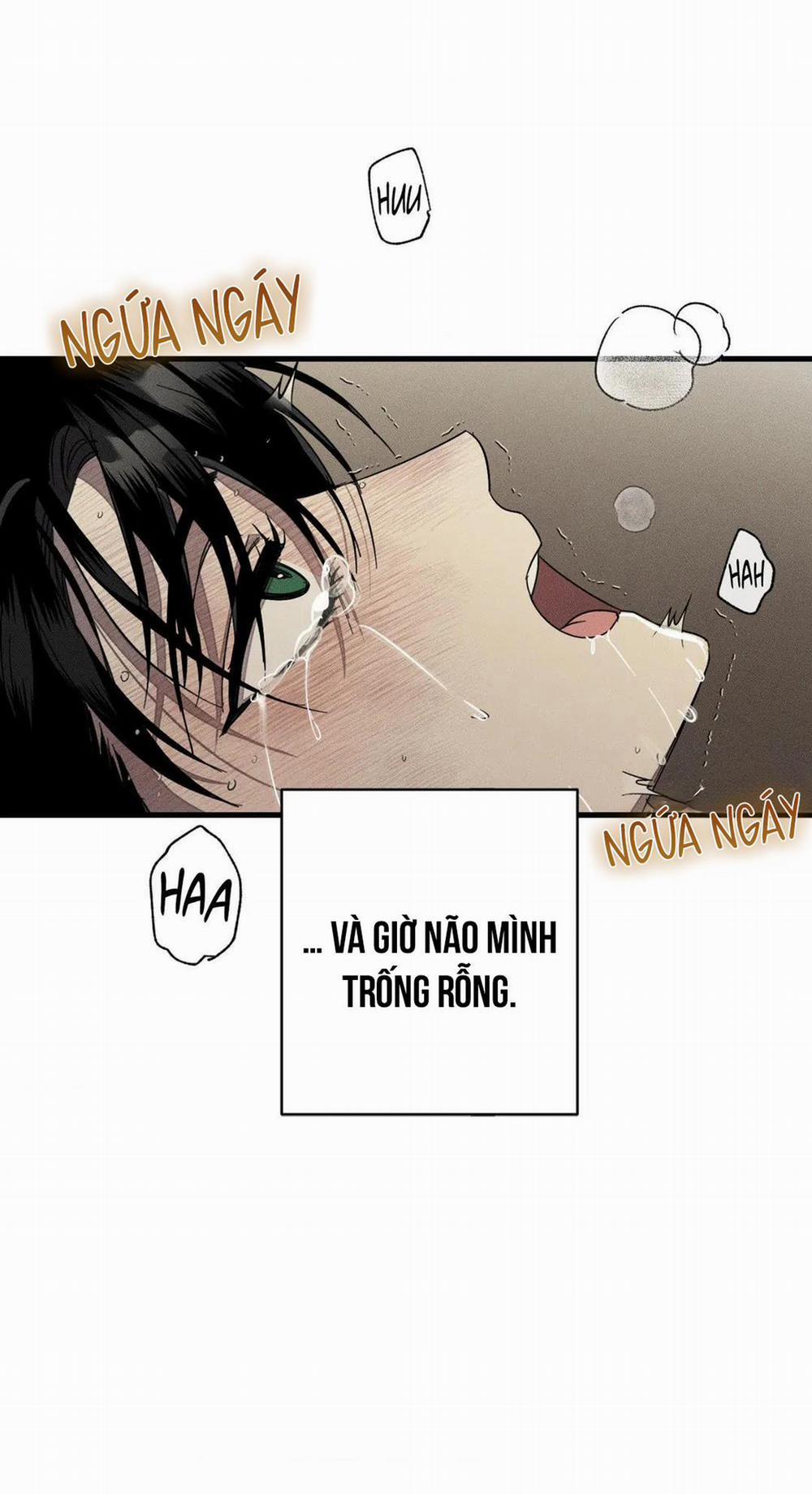 Công Lập Left Fluke 21 trang 39