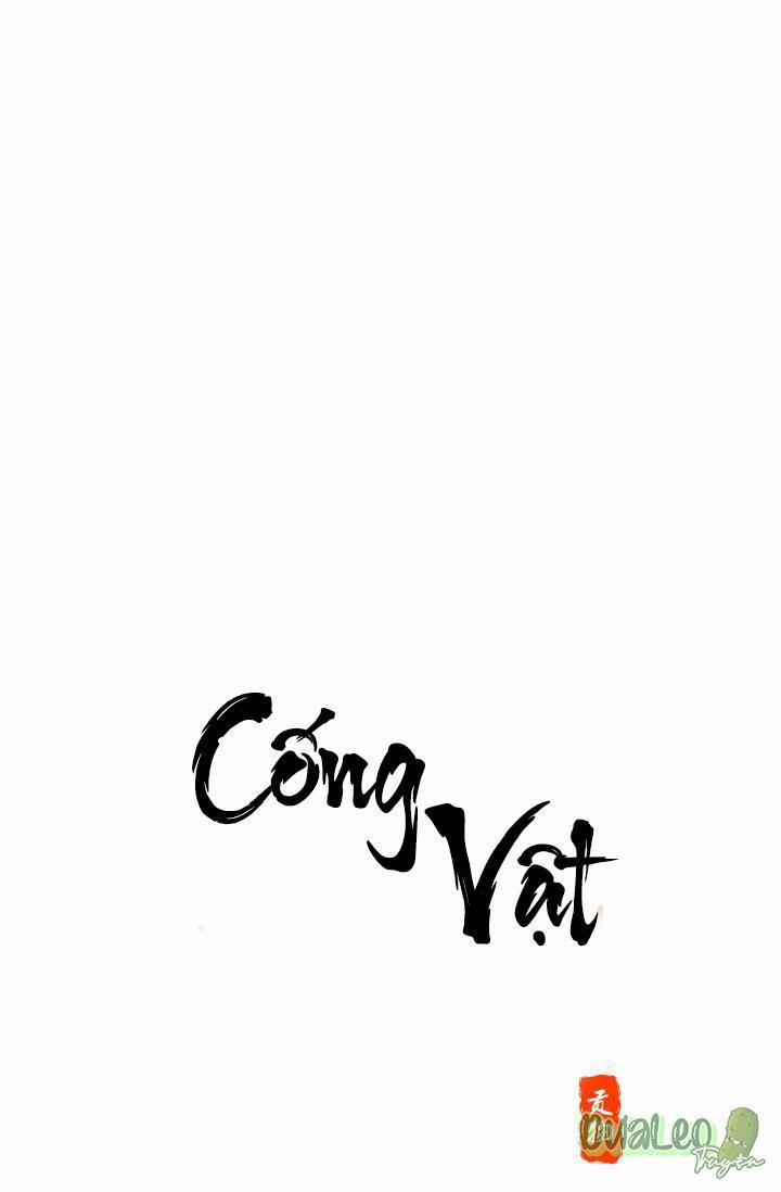 Cống Vật 8 trang 0
