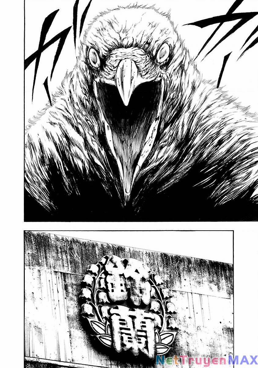 Crows Explode 19 trang 19