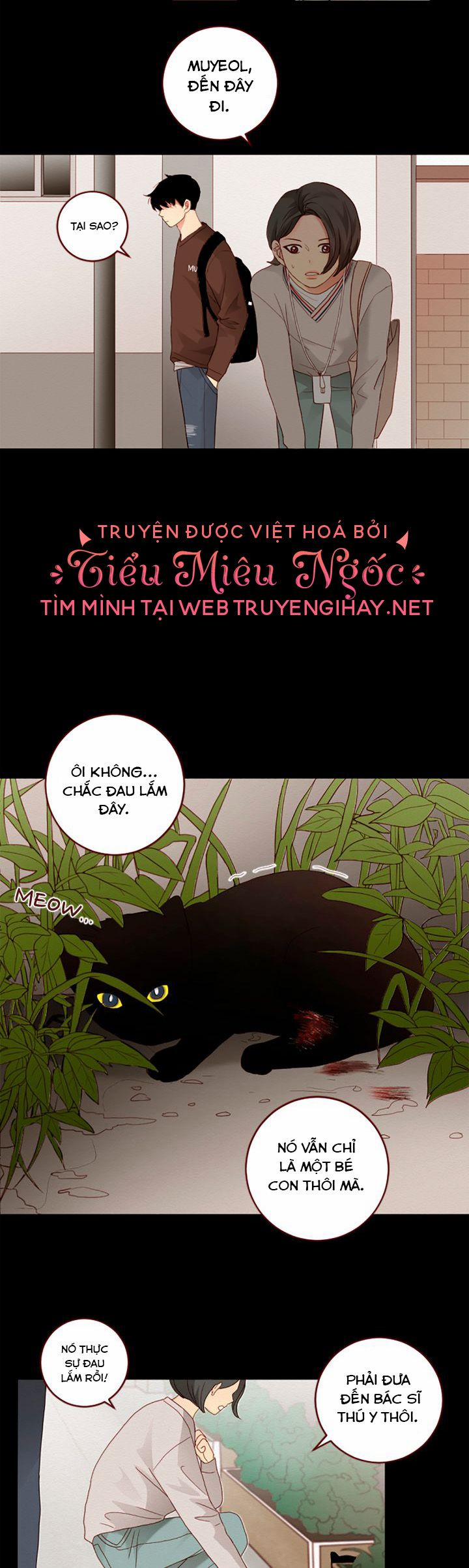 Crush Của Tôi 16 trang 10