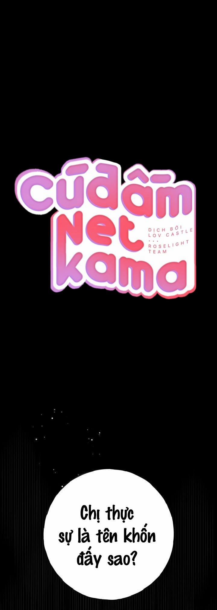 Cú Đấm Netkama 15 trang 0