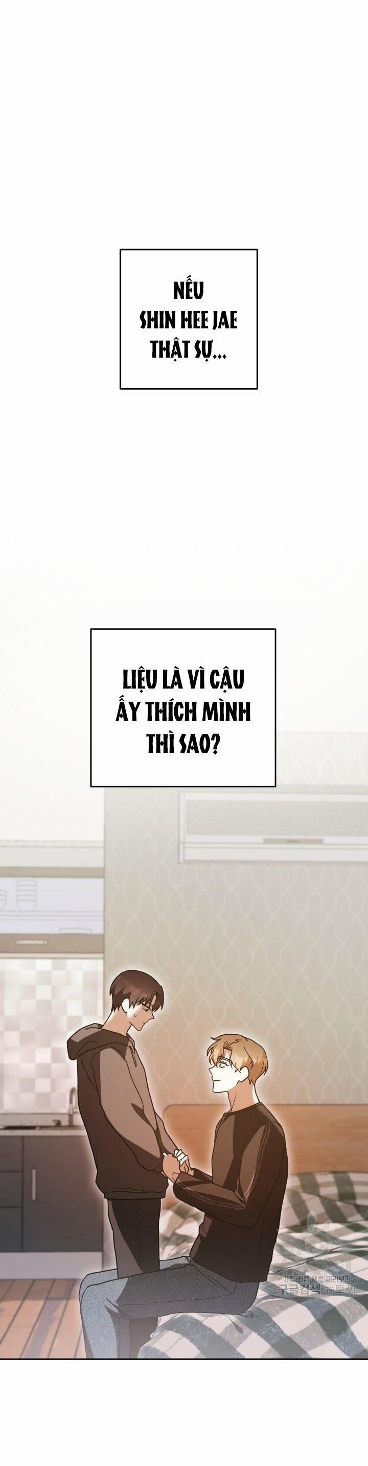 Cú Đấm Netkama 26 trang 0