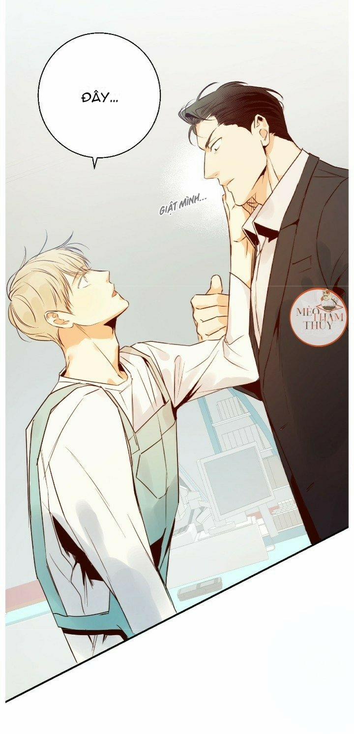 Cửa Hàng Tiện Lợi Nguy Hiểm 18 trang 8