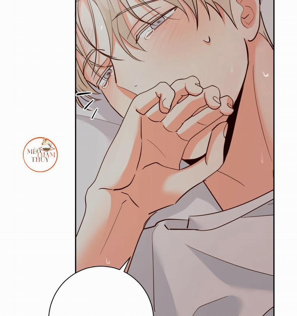 Cửa Hàng Tiện Lợi Nguy Hiểm 41 trang 12