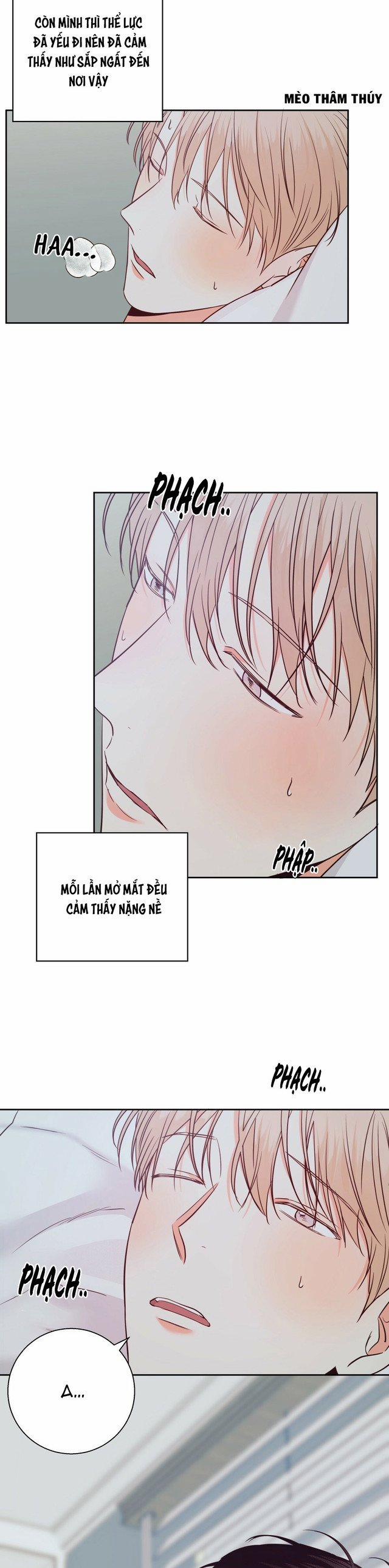 Cửa Hàng Tiện Lợi Nguy Hiểm 71 trang 22