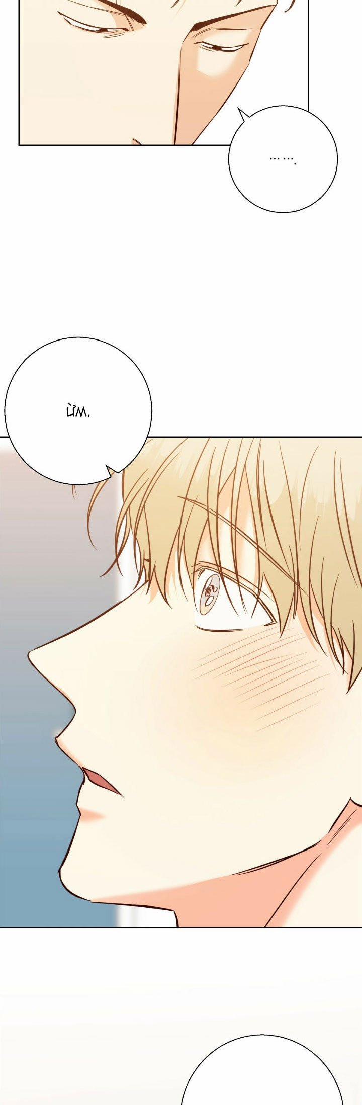 Cửa Hàng Tiện Lợi Nguy Hiểm 81 trang 15