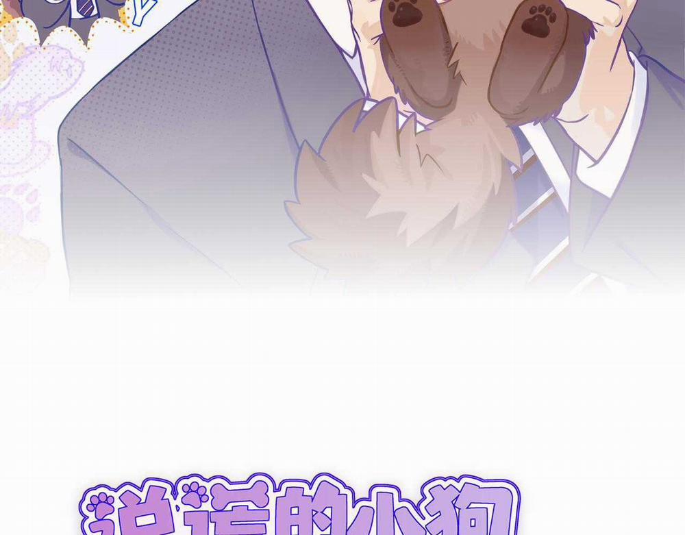 Cún Con Nói Dối Sẽ Bị Ăn Thịt 24 trang 2