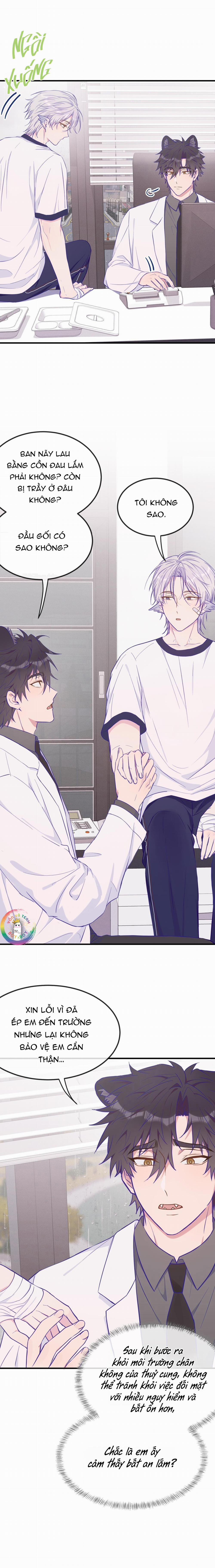 Cún Con Nói Dối Sẽ Bị Ăn Thịt 29 trang 6