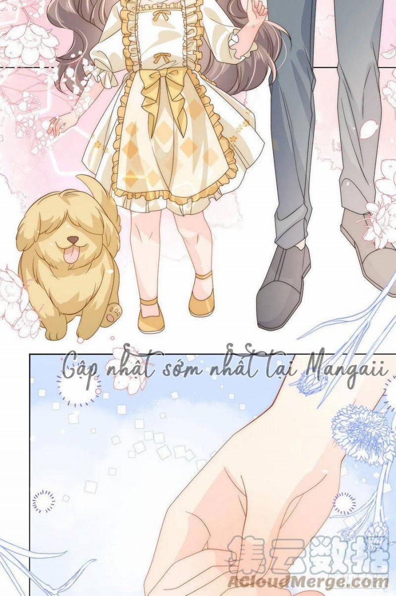 Cưng Chiều Đại Lão 3 Tuổi Rưỡi 127 trang 17