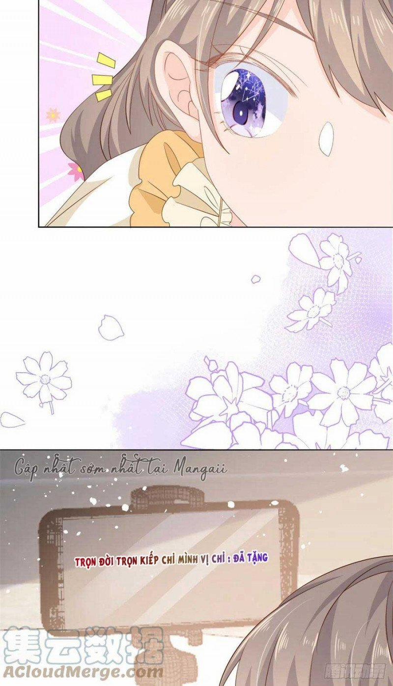 Cưng Chiều Đại Lão 3 Tuổi Rưỡi 132 trang 11