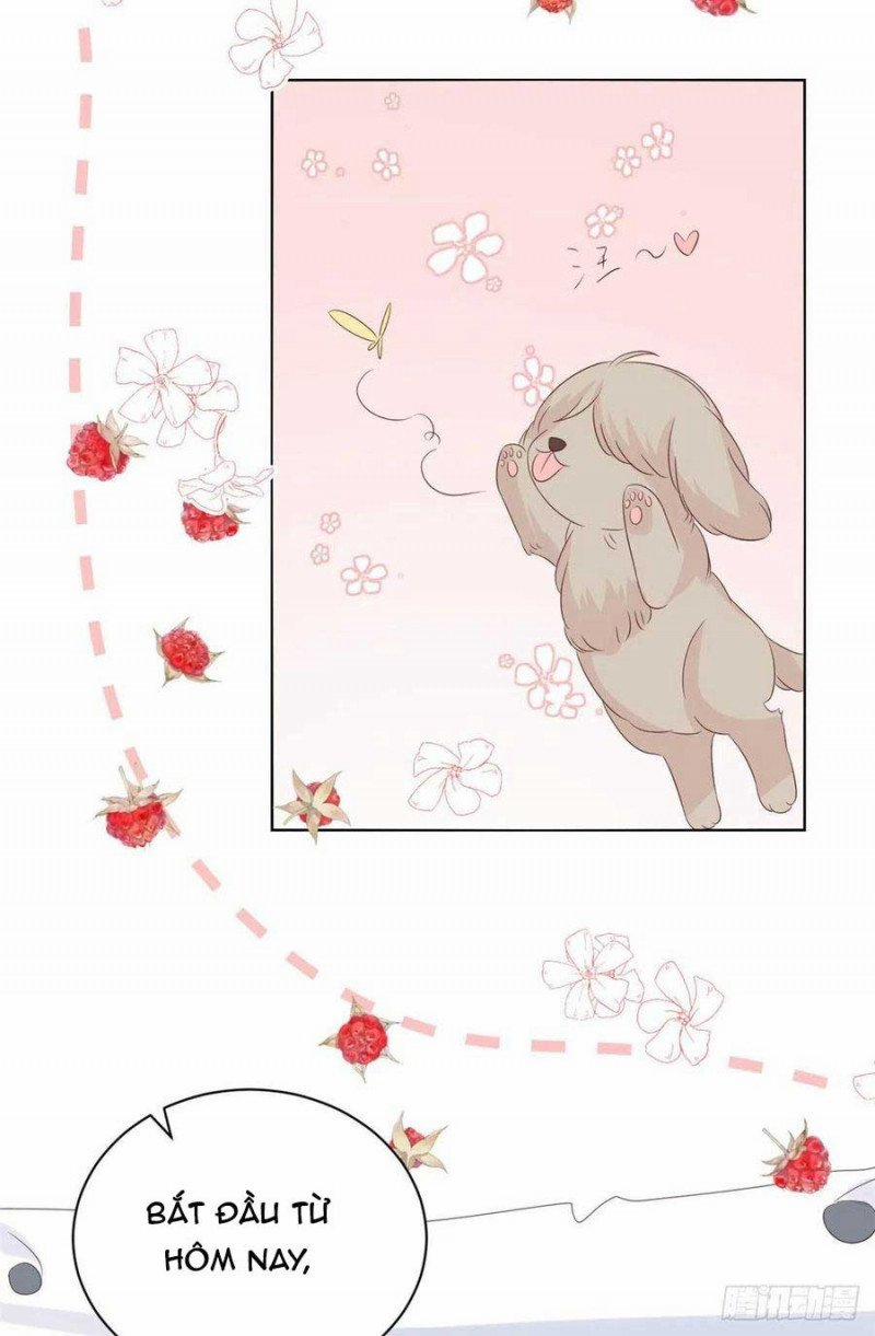 Cưng Chiều Đại Lão 3 Tuổi Rưỡi 141 trang 18