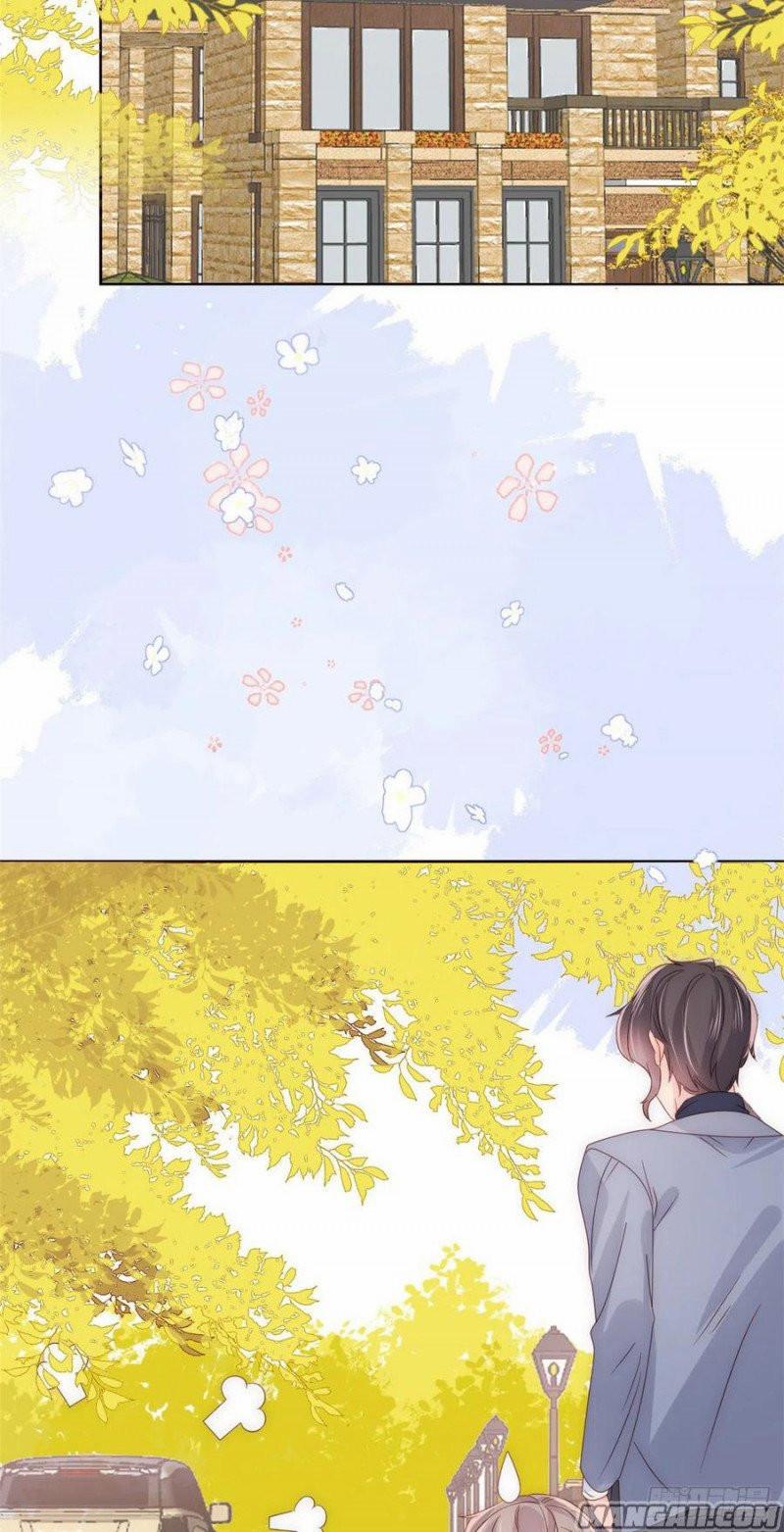 Cưng Chiều Đại Lão 3 Tuổi Rưỡi 169 trang 4