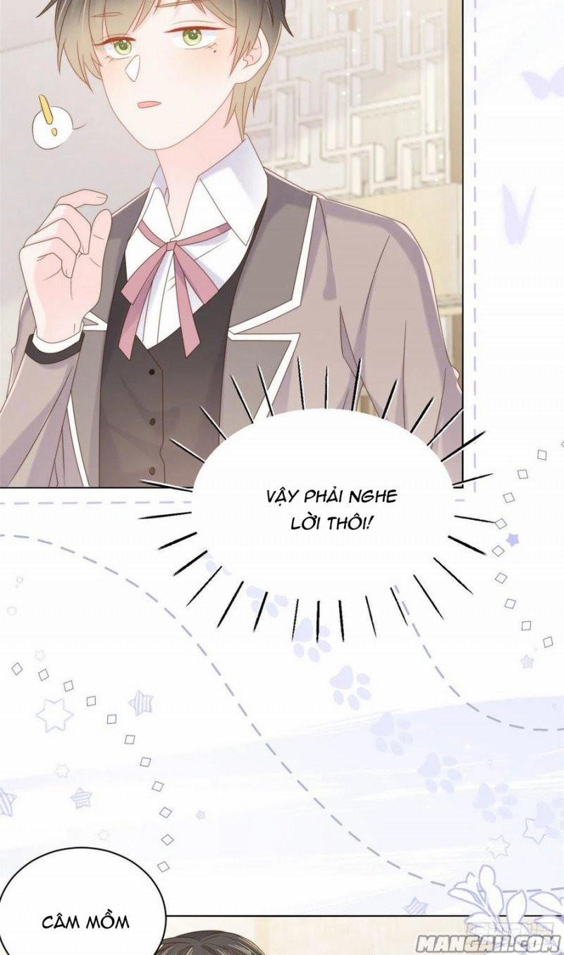 Cưng Chiều Đại Lão 3 Tuổi Rưỡi 172 trang 20