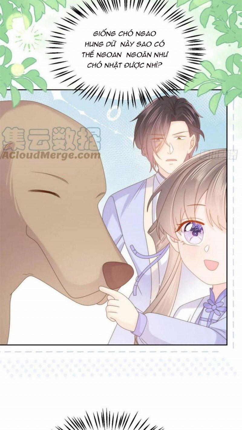 Cưng Chiều Đại Lão 3 Tuổi Rưỡi 182 trang 2