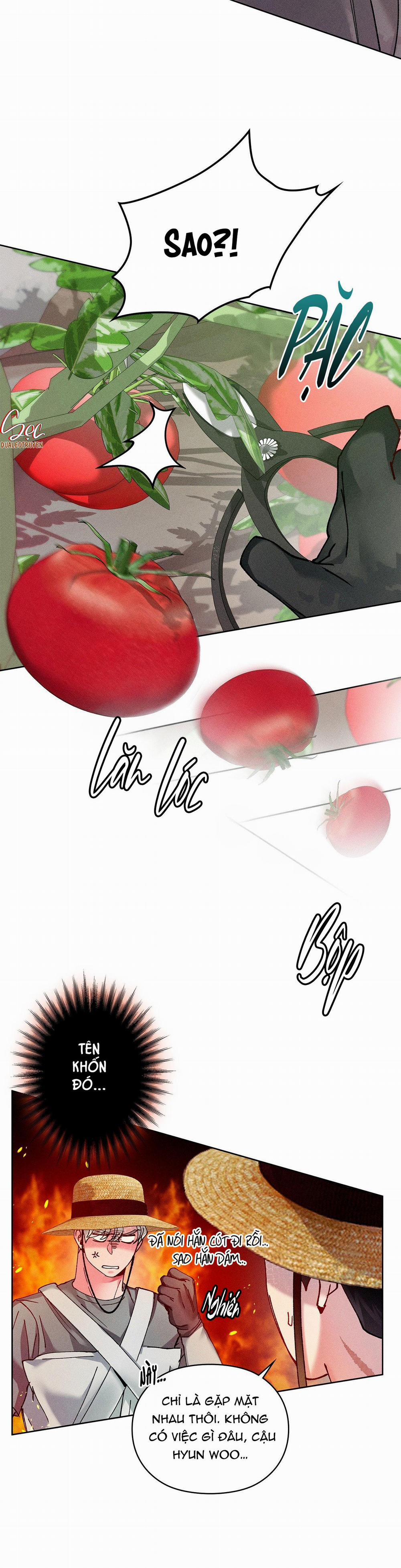 Cùng Nâng Tạ Nhé 38 END trang 15