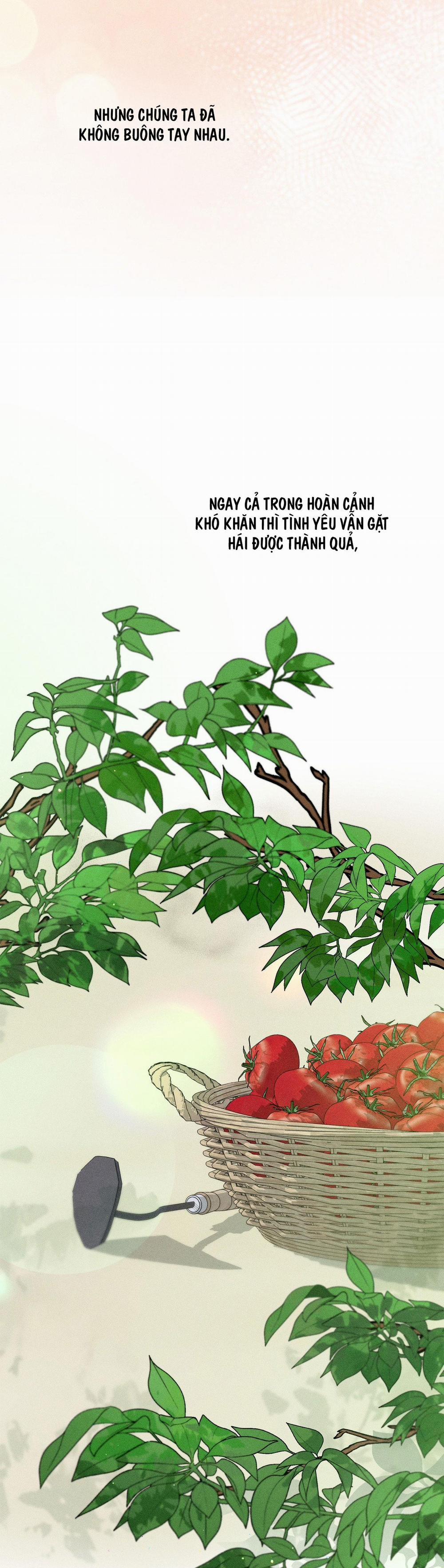 Cùng Nâng Tạ Nhé 38 END trang 32