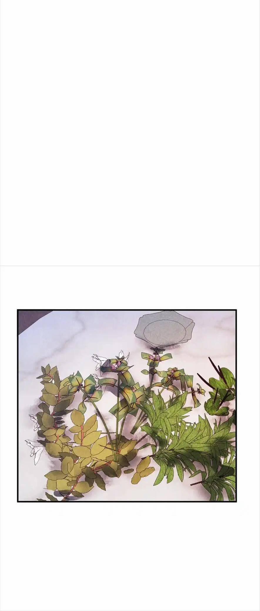 Cùng Trùng Sinh Với Phản Diện Mà Mình Giết Chết 9 trang 23