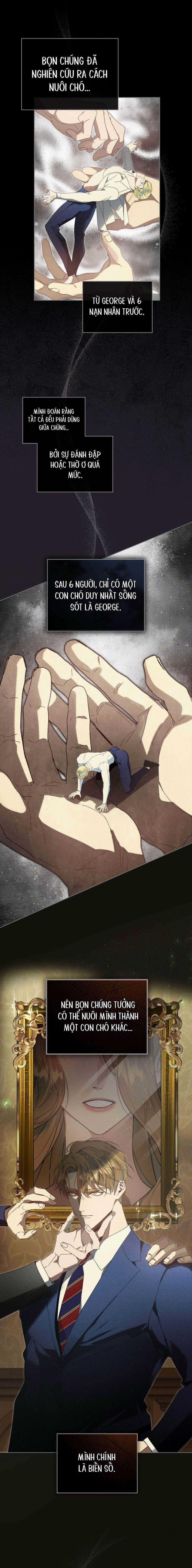 Cuộc Đời Bi Thảm 16 trang 11