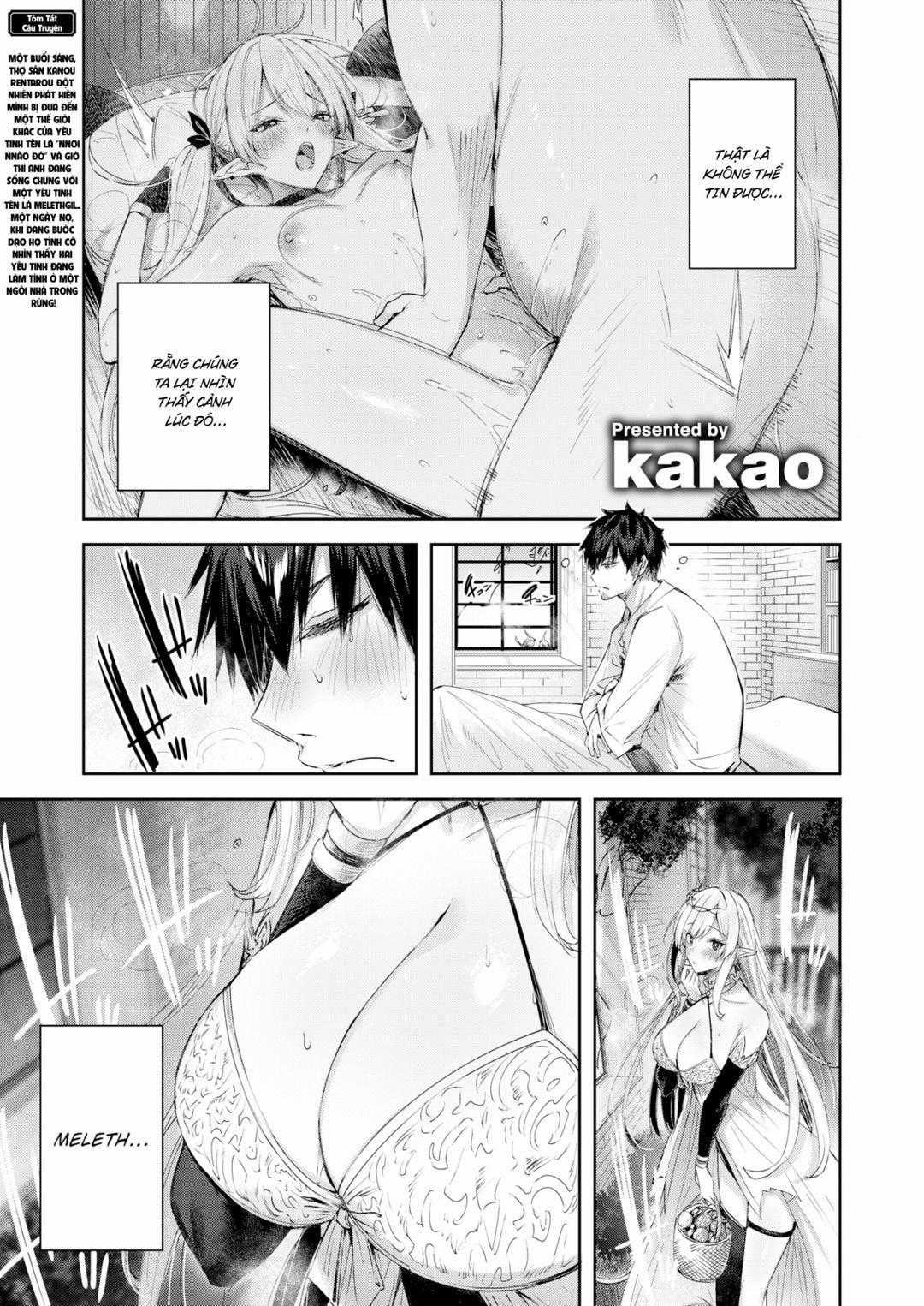 Cuộc gặp gỡ của chàng thợ săn đơn độc trong khu rừng yêu tinh 2 trang 2