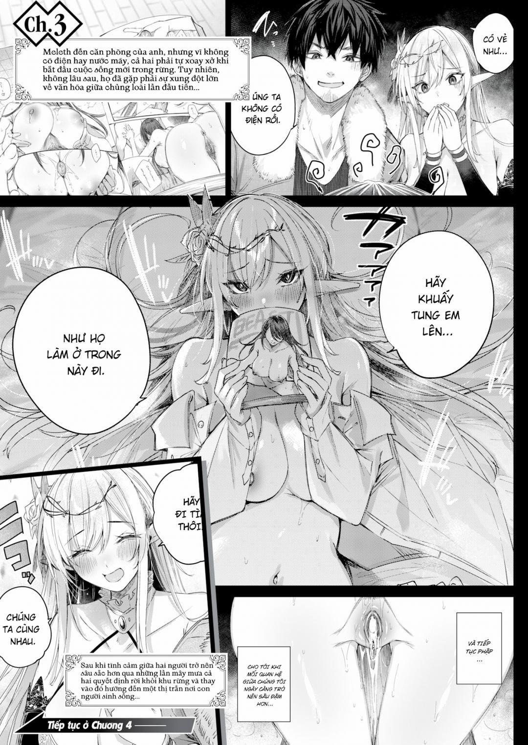 Cuộc gặp gỡ của chàng thợ săn đơn độc trong khu rừng yêu tinh 3.5 trang 4