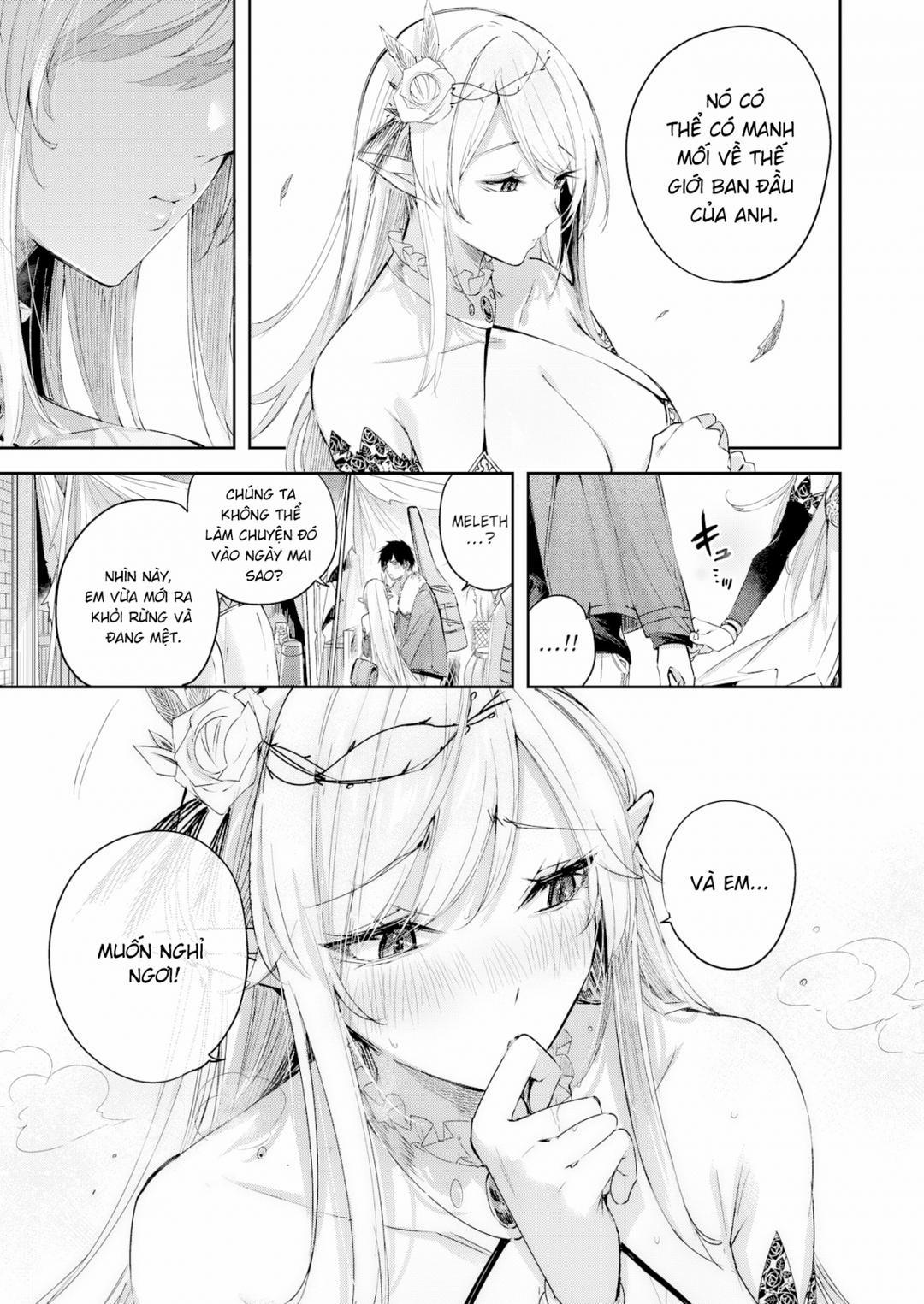 Cuộc gặp gỡ của chàng thợ săn đơn độc trong khu rừng yêu tinh 4 trang 6