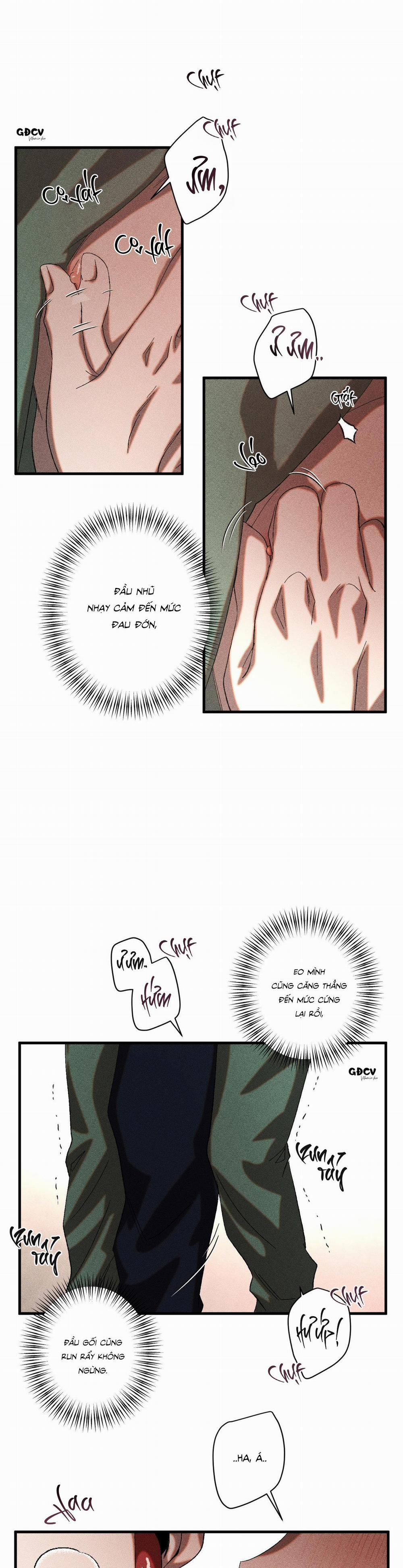 CUỘC GIAO DỊCH 26 trang 11