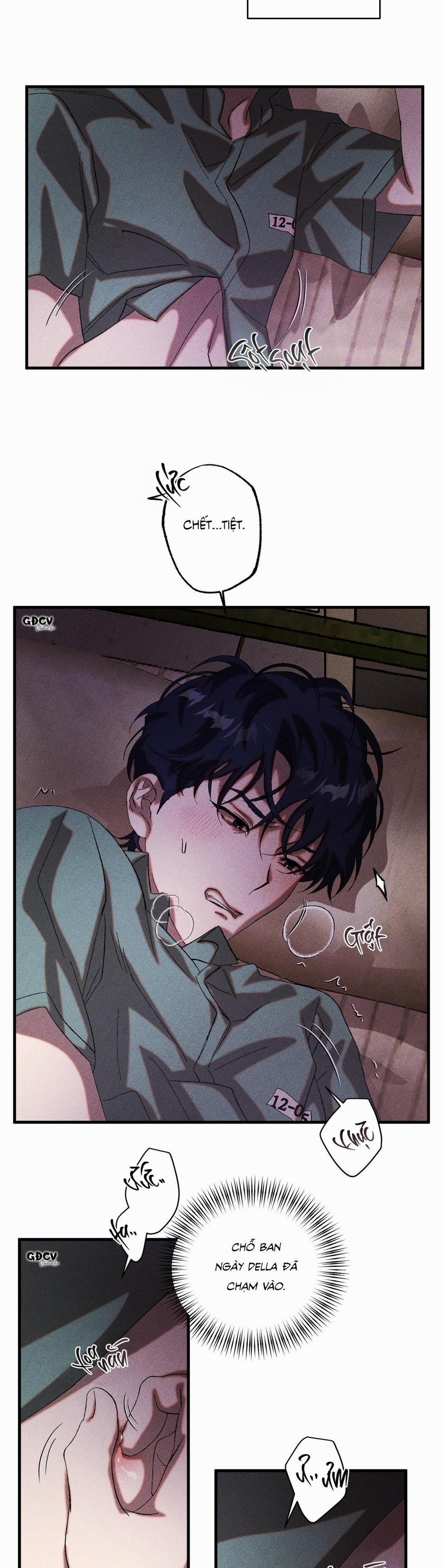 CUỘC GIAO DỊCH 26 trang 28