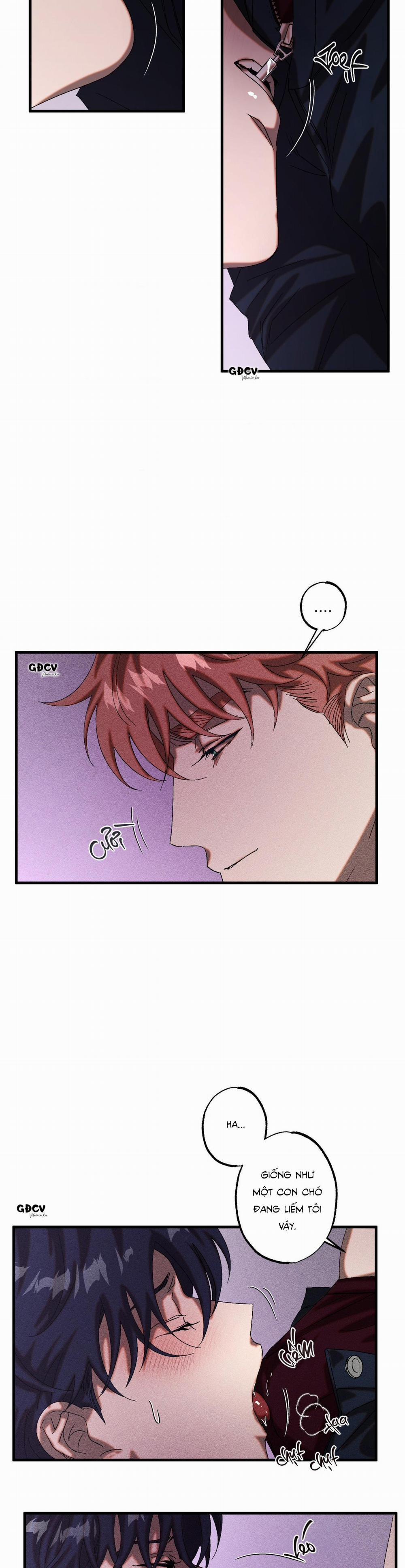 CUỘC GIAO DỊCH 28 trang 28